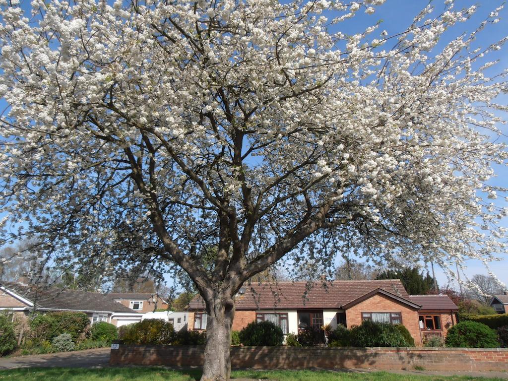 The Hideaway Suite Holiday Home Colchester Luaran gambar